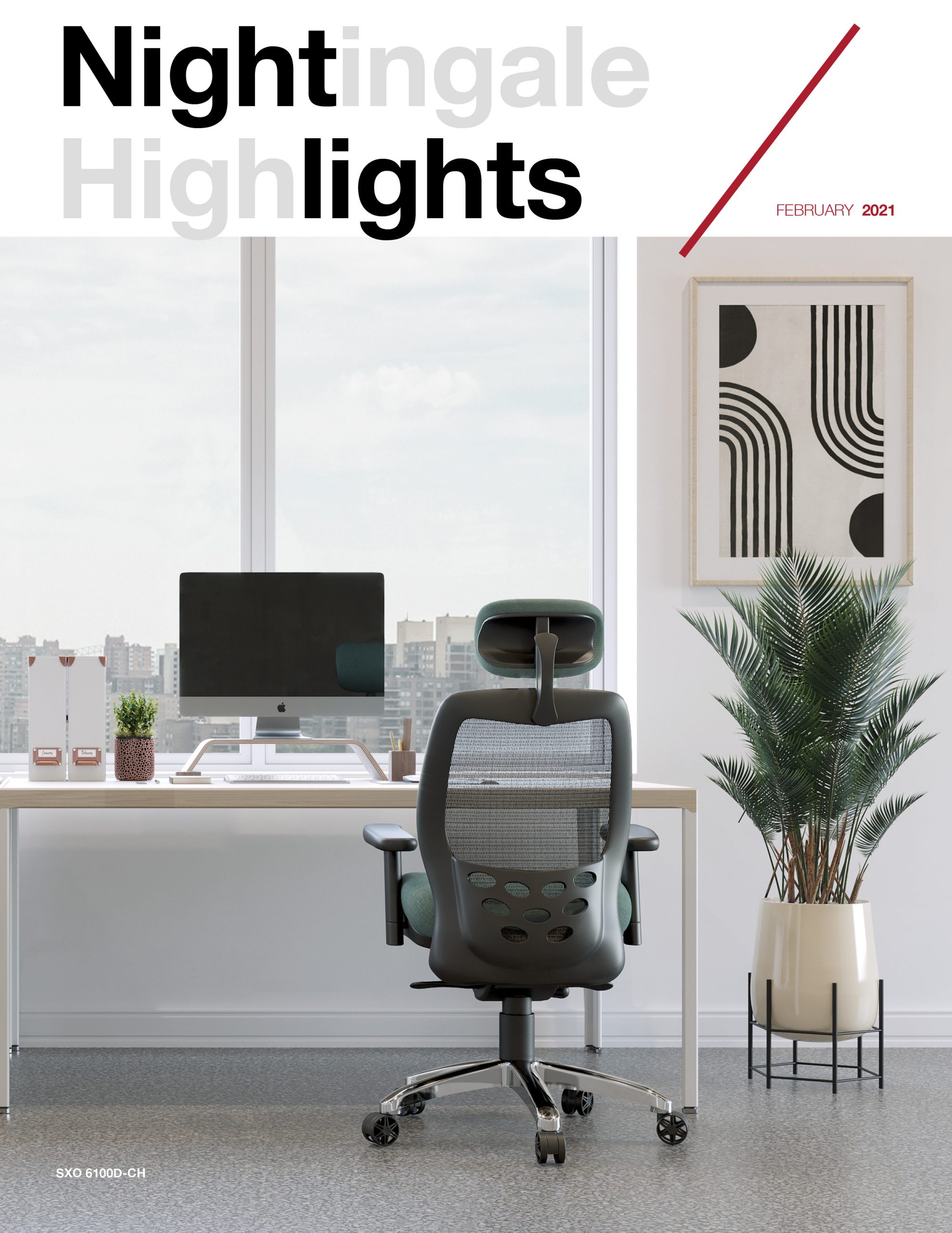 NightLights_Newsletter_Feb_2021